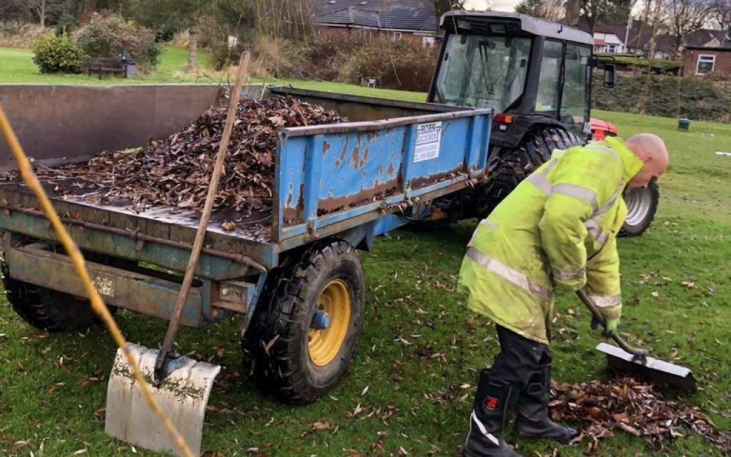 leaves clean up in December 2019